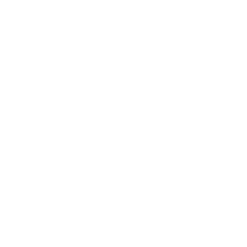 Monochrome — white on transparent